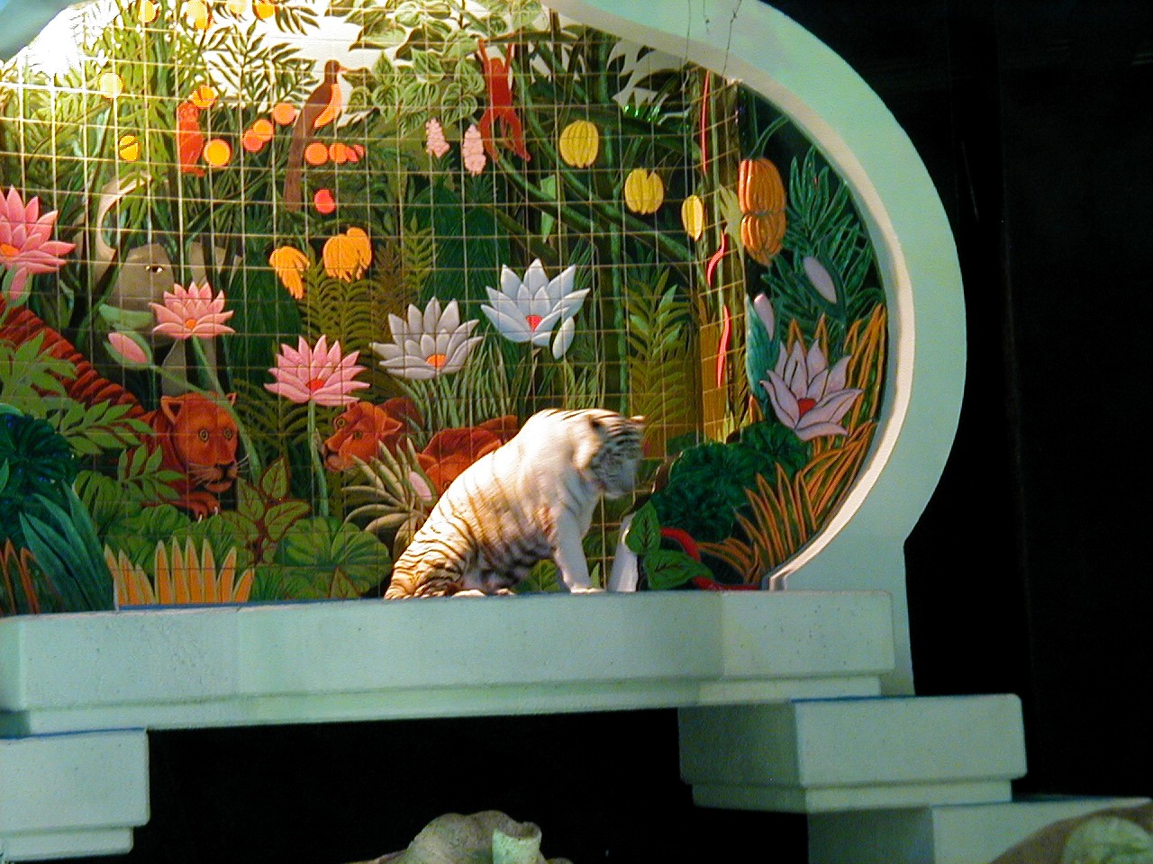 Las Vegas Trip - White Tiger at The Mirage