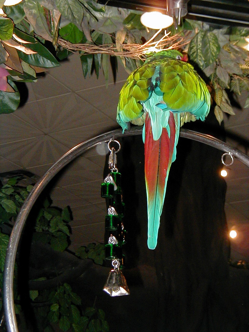 Las Vegas Trip - MGM Grand