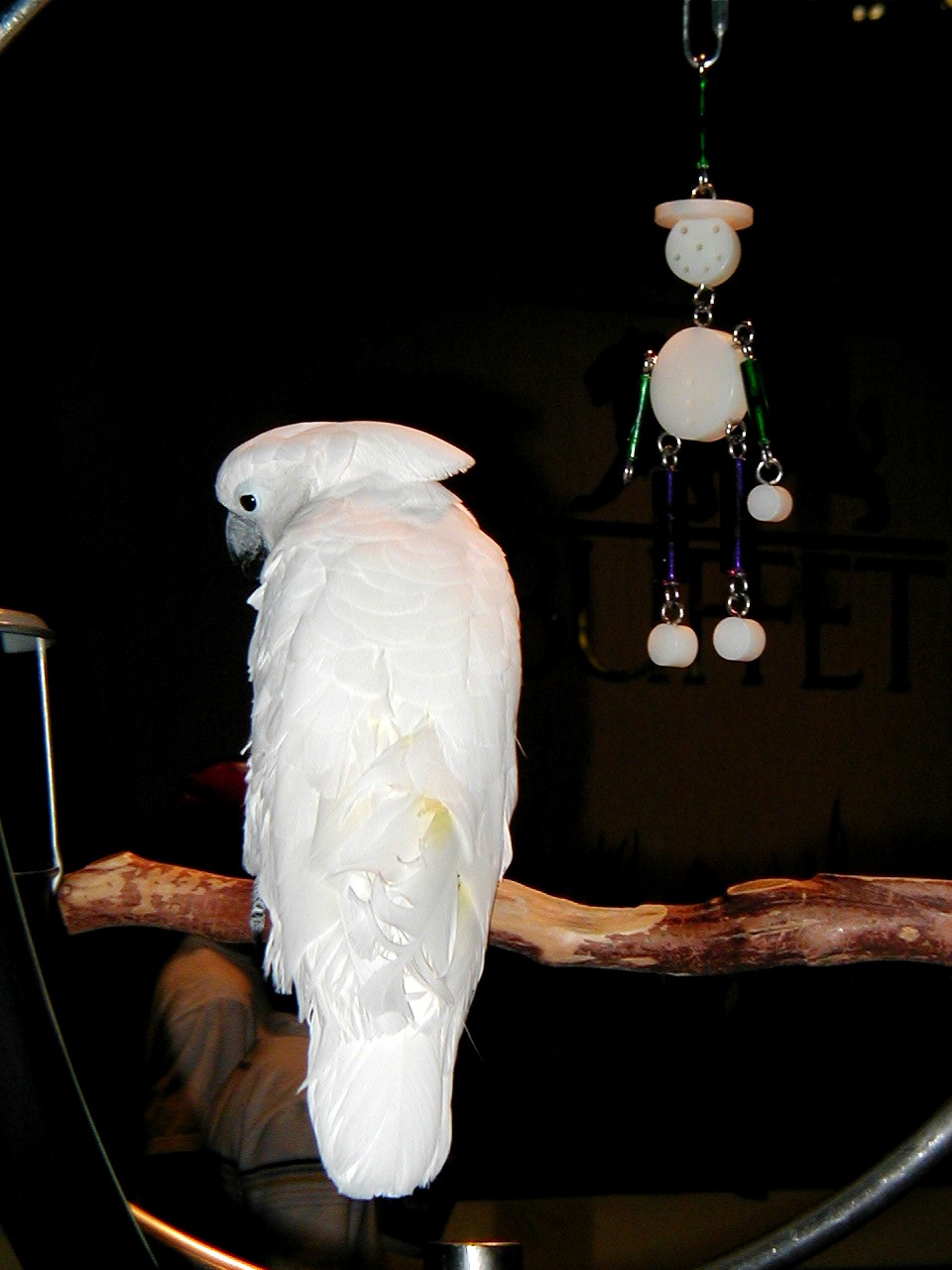 Las Vegas Trip - MGM Grand