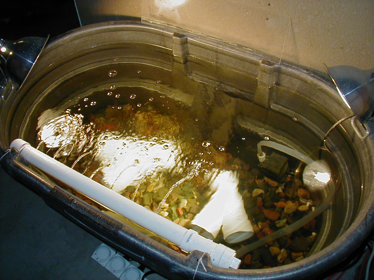 Pond Fish Winter Home