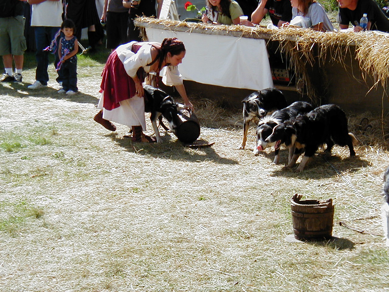 MN Renaissance Festival 2004