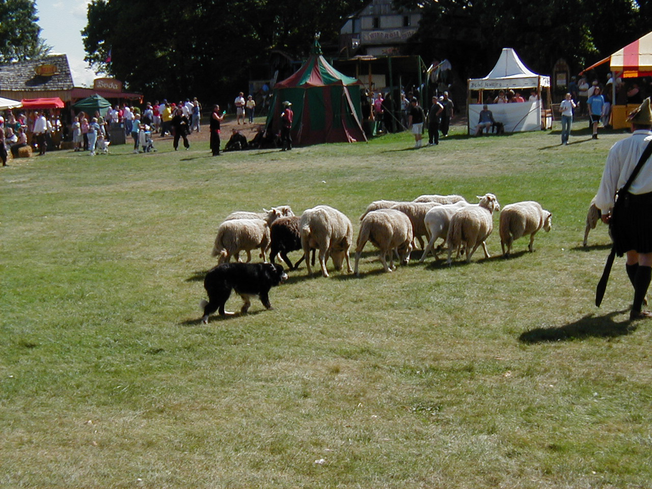 MN Renaissance Festival 2004