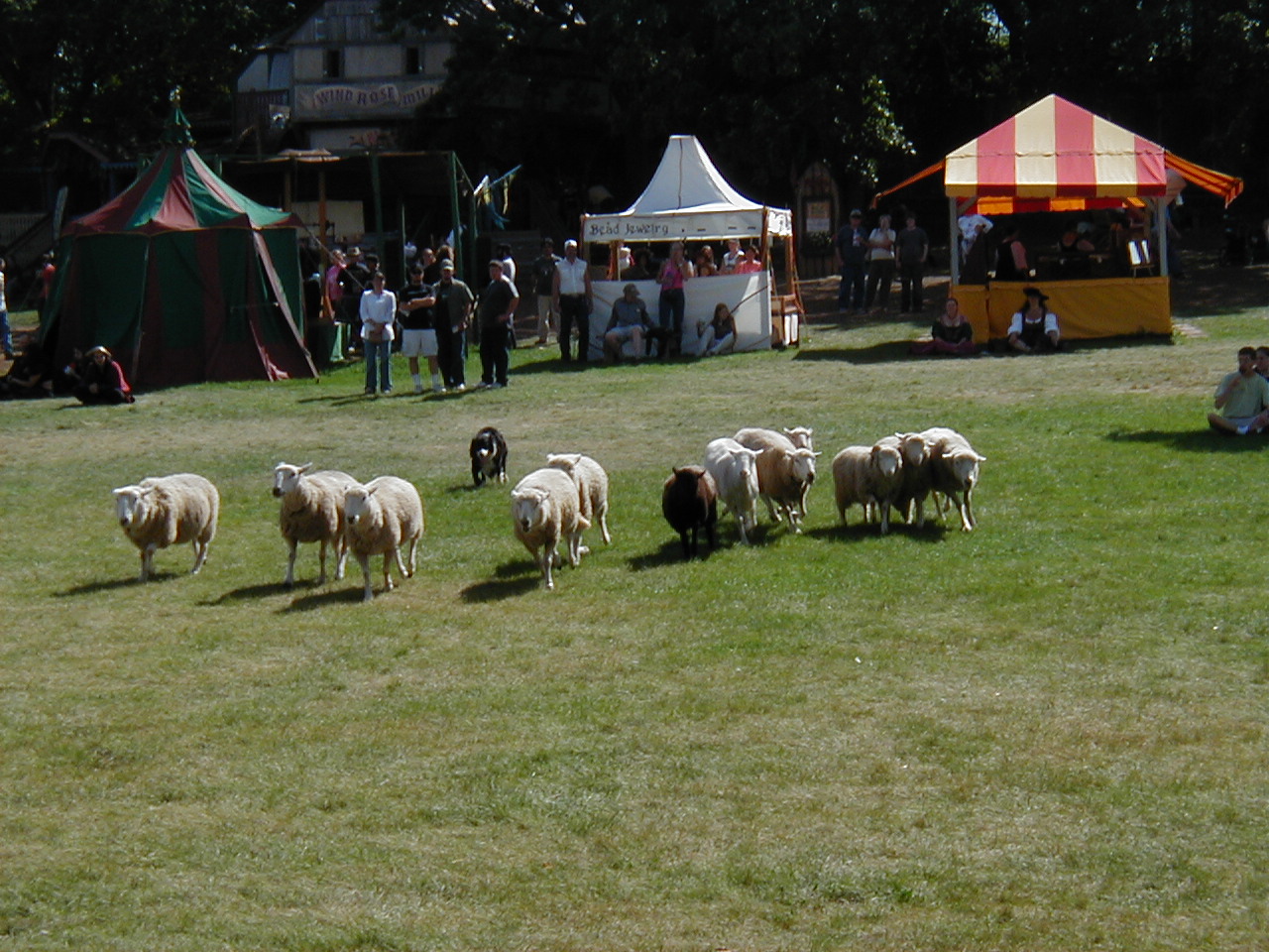 MN Renaissance Festival 2004