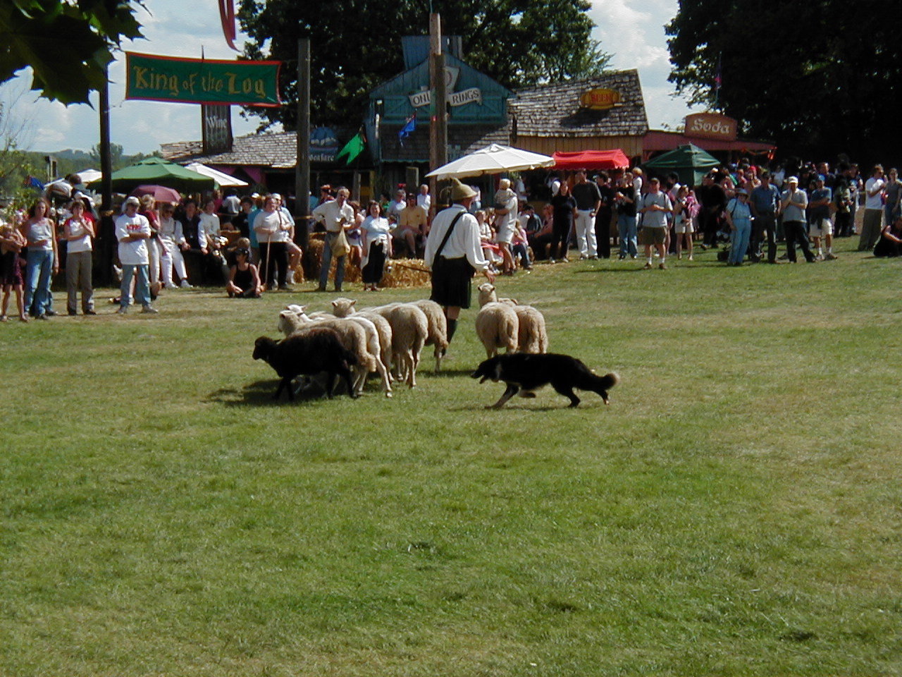 MN Renaissance Festival 2004