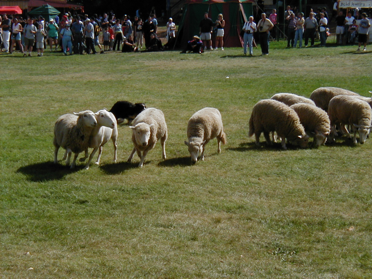 MN Renaissance Festival 2004