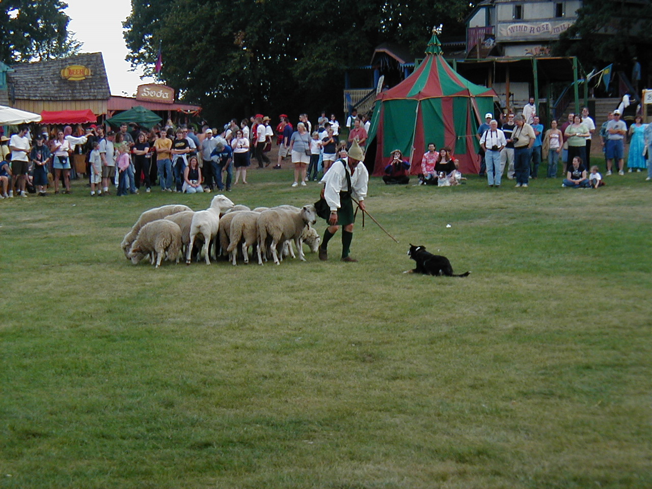MN Renaissance Festival 2004