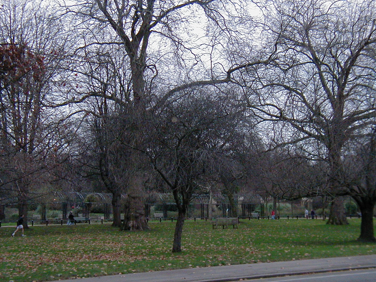 London Trip, Christmas 2004