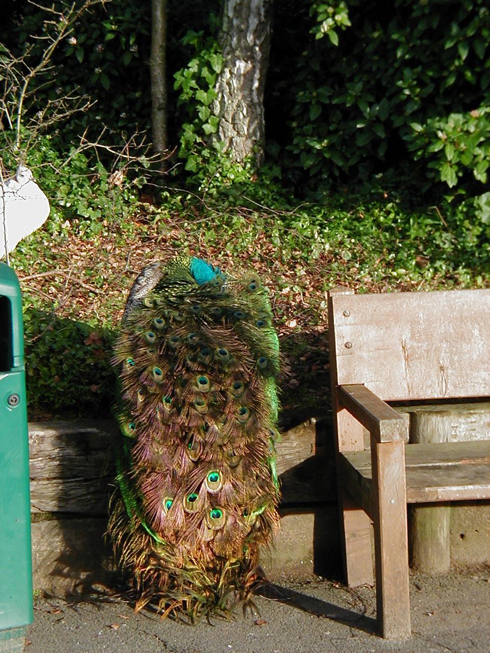 London Trip, Christmas 2004