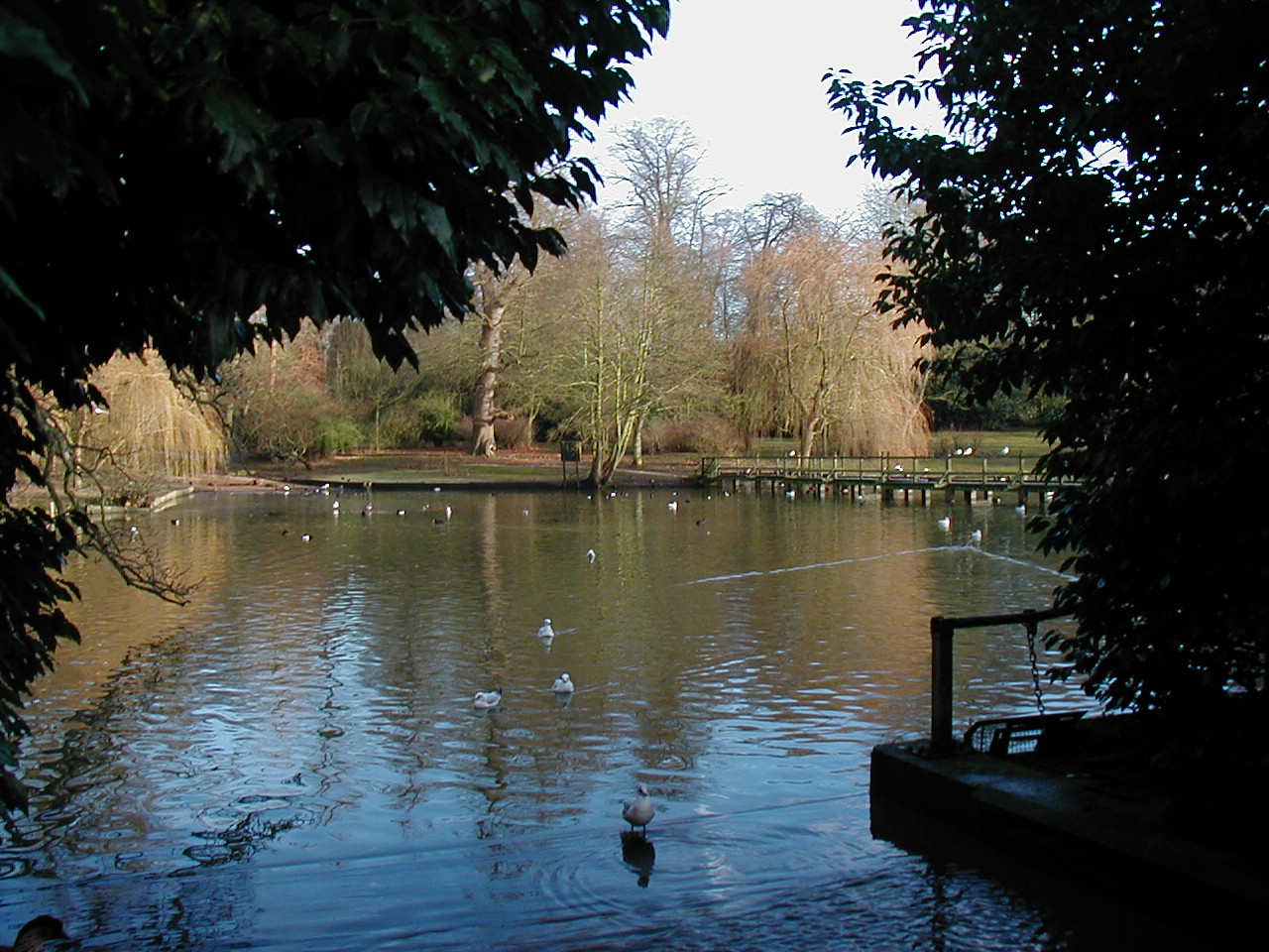 London Trip, Christmas 2004