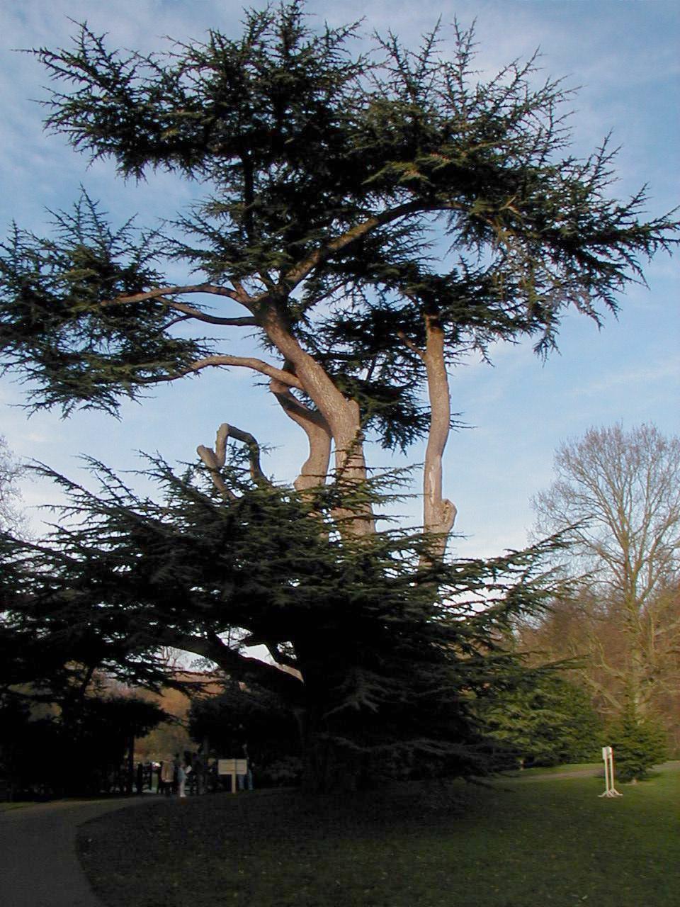 London Trip, Christmas 2004