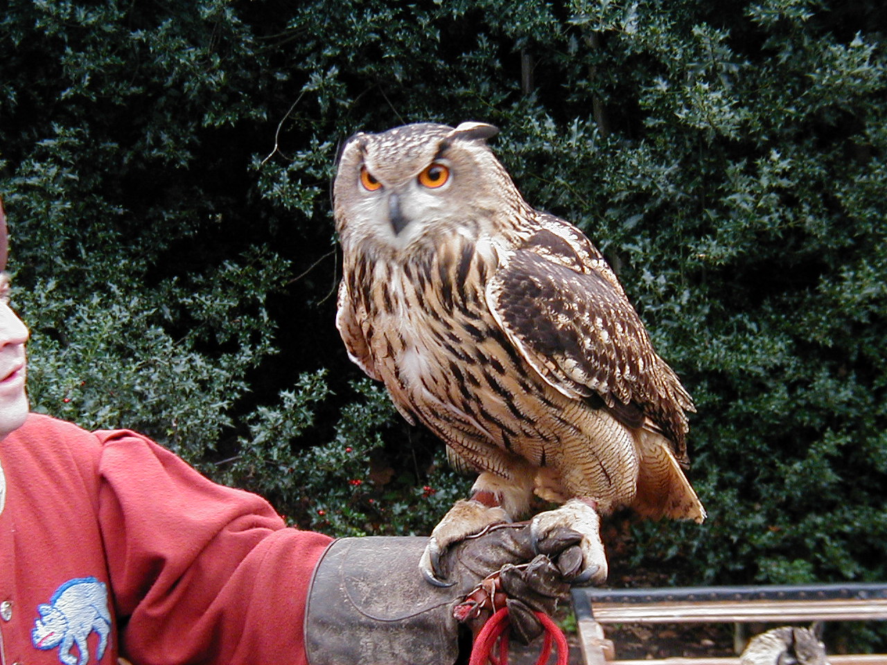 London Trip, Christmas 2004