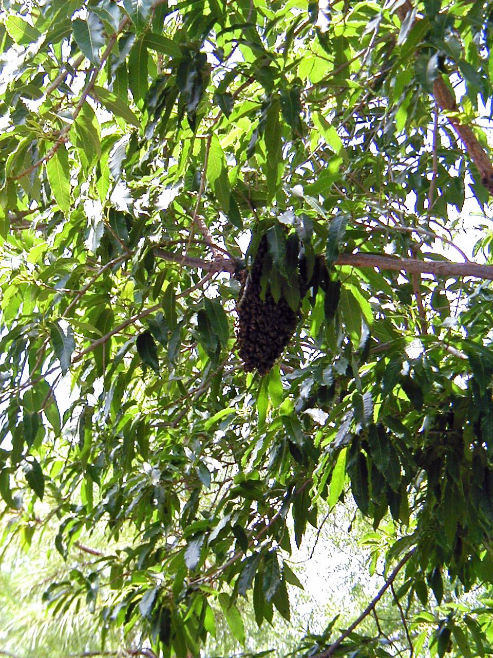 Jeff's Wedding - Wedding Day