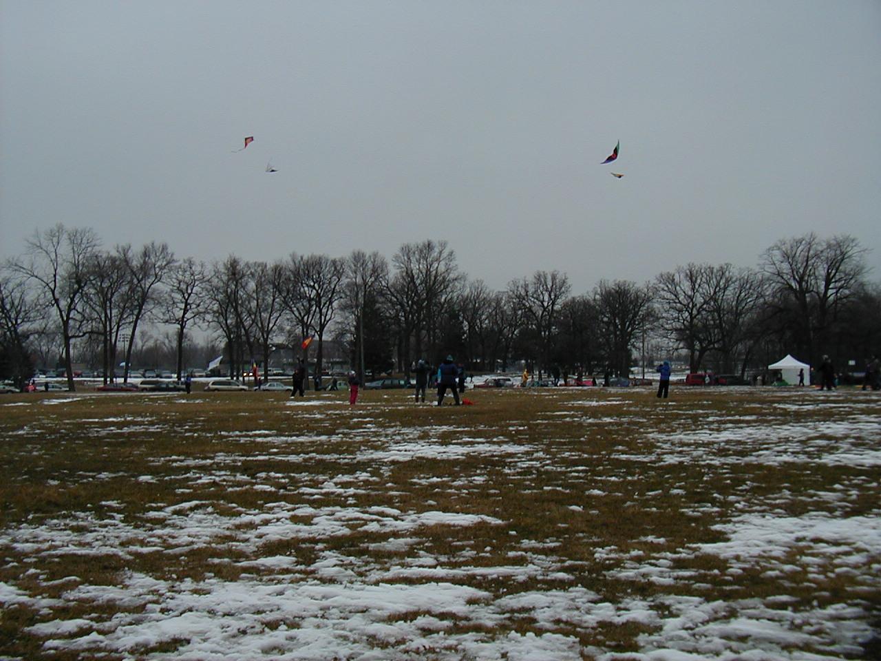 Saint Paul Winter Carnival 2002