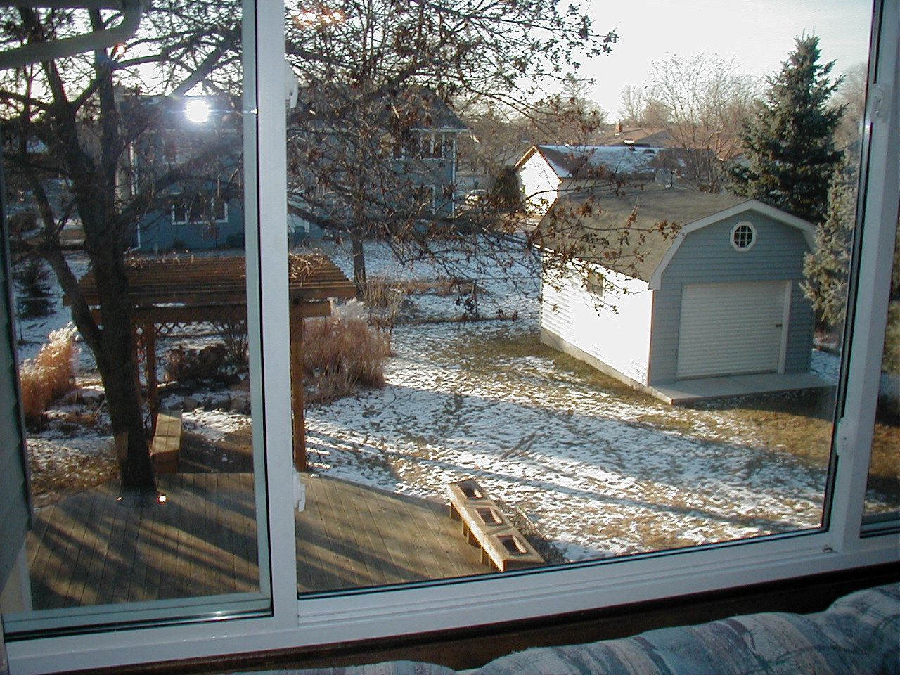 New House - Backyard from Living Room