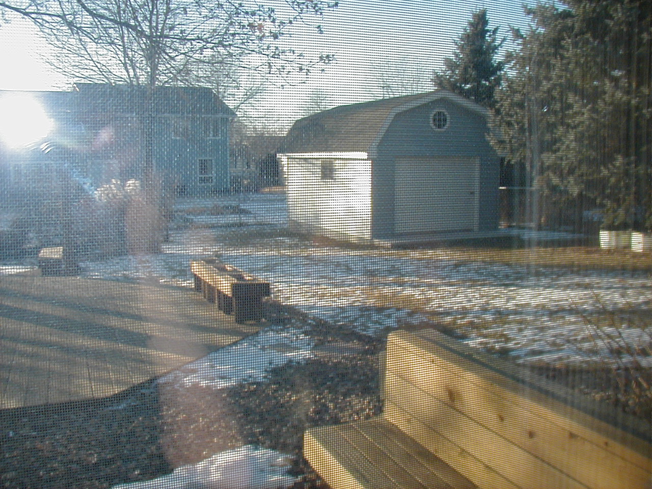 New House - Backyard