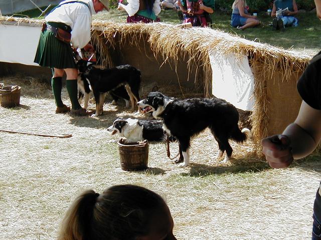 MN Renaissance Festival 2004
