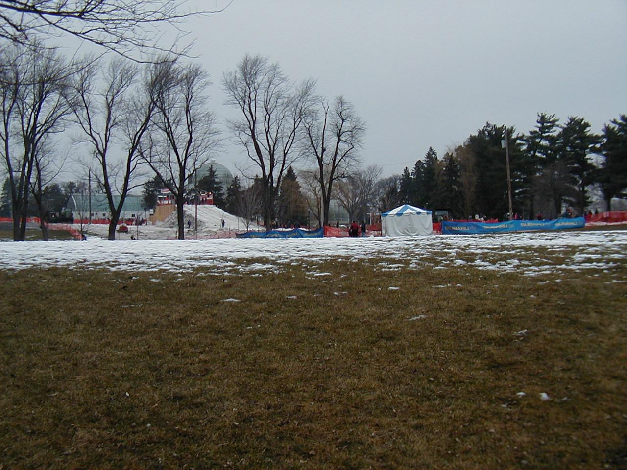 Green Grass during Winter Carnival?